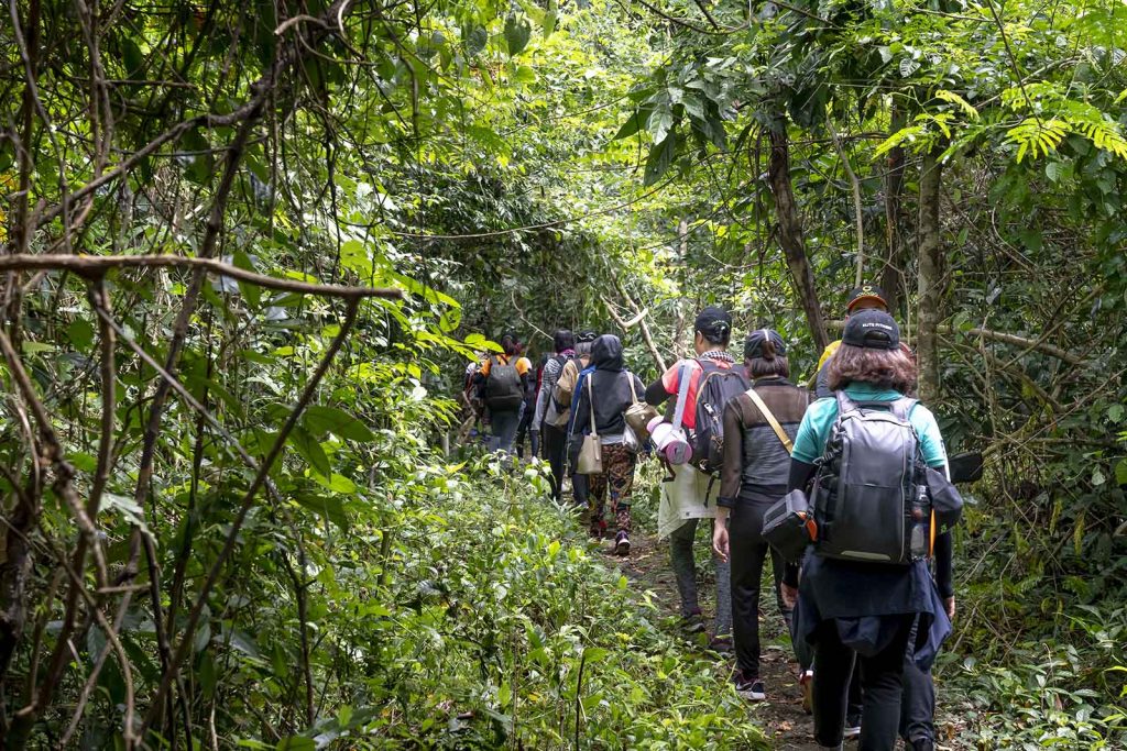 Trekking di Sentul: Menikmati Keindahan Alam dan Petualangan Aktif