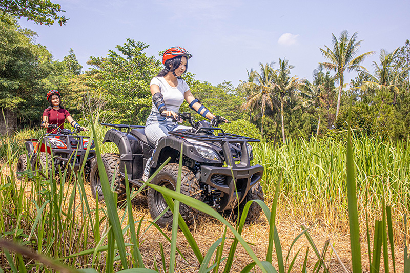 Hotel Sentul dengan fasilitas ATV web ole suites
